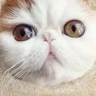 河北医大四院3代试管费用全明细，透明公开，助您轻松规划