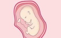 2026年精子畸形去康民国际医院做试管的成功率有多少？影响因素有哪些？