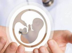 分享试管婴儿生孩子的小秘密，试管囊胚什么级别易生孩子