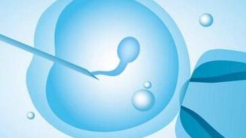 试管促排卵安全吗？哪些医院提供正规促排卵服务？